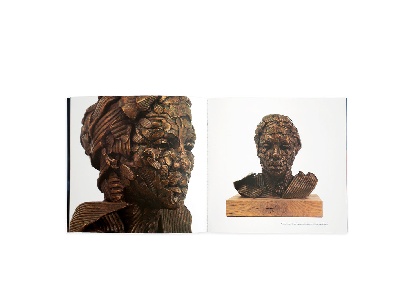 Lionel Smit's new art book showcase four solo exhibitions spanning from 2020 to 2023. Transitions with Giclée Print from the Lionel Smit Studio