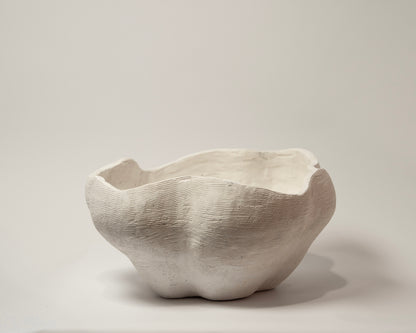 Wave Bowl