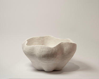 Wave Bowl